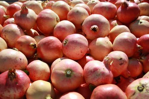 Pomegranate Valenciana - FRUIT PERFORMANCE S.L.U